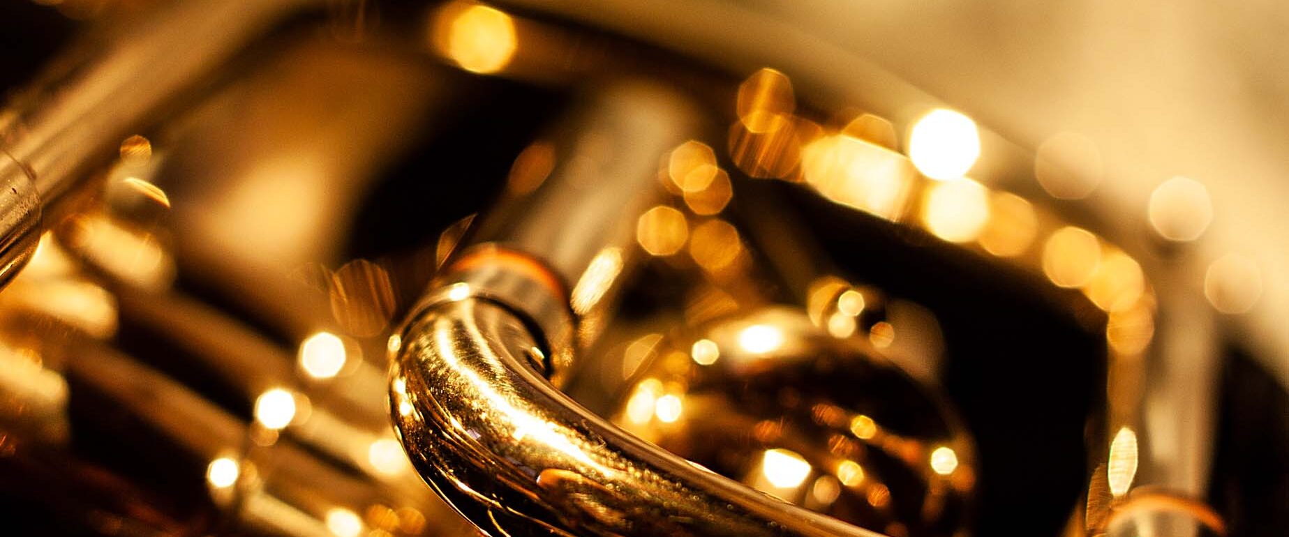 Photo gallery featured image with a polished gold cornet.