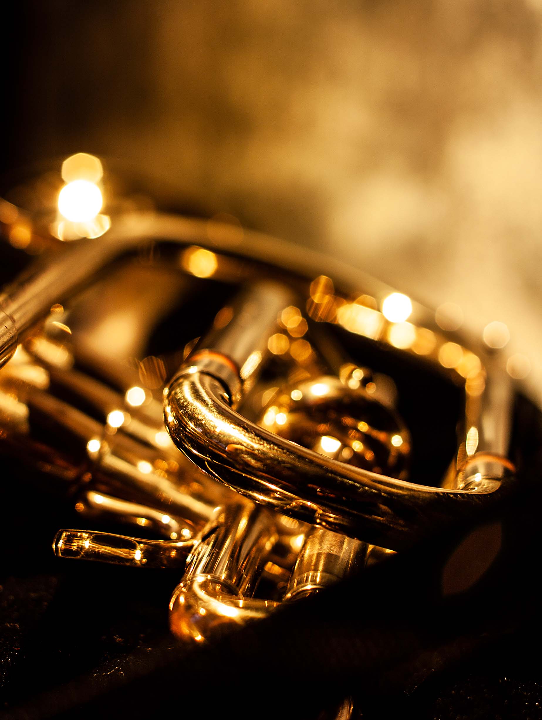 Photo gallery featured image with a polished gold cornet.